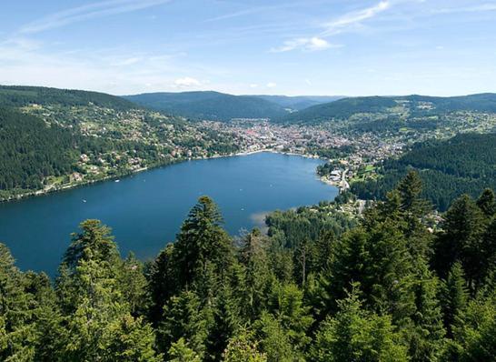 Beau Duplex A Proximite Du Lac De Gerardmer Avec Place De Parking Exterior foto